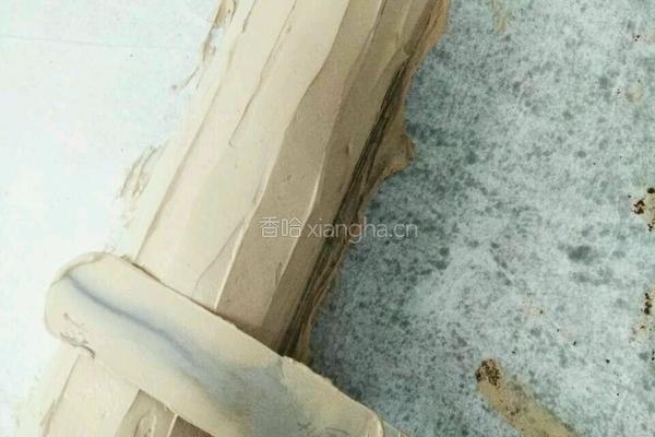 黑森林蛋糕卷的做法图解6