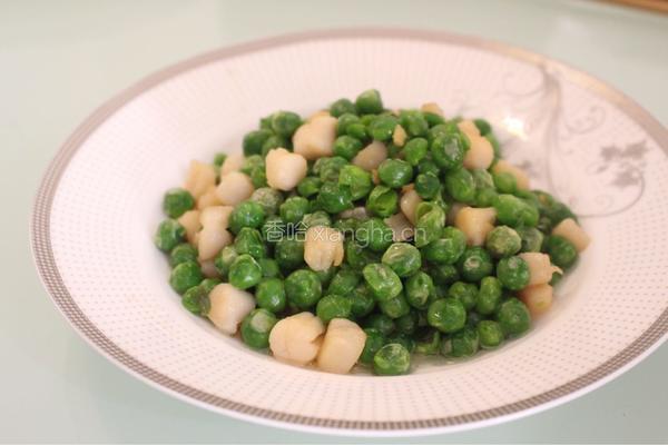 豌豆炒鲜贝的做法图解7