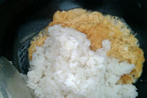 西红柿蛋炒饭的做法图解10