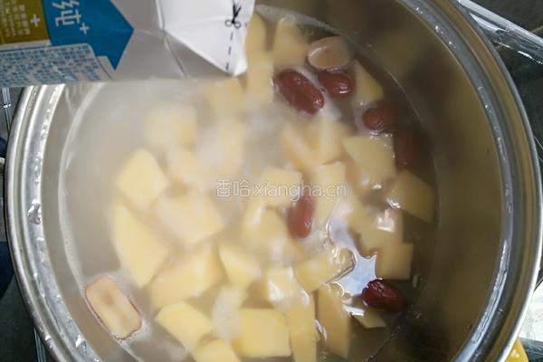 红枣木瓜炖牛奶的做法图解3