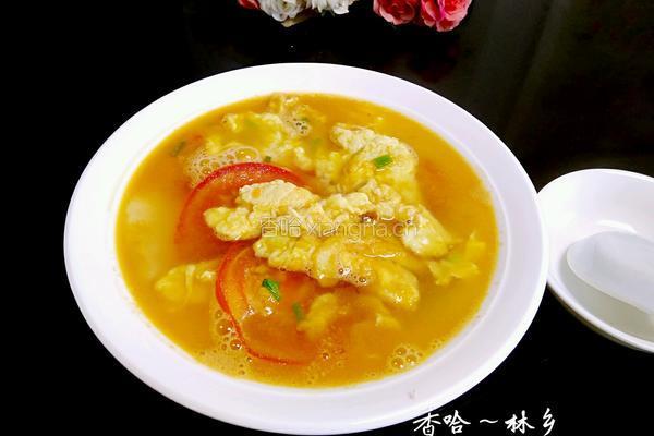 番茄鸡蛋汤的做法图解12