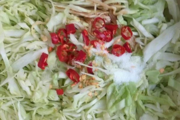 冷拌包菜的做法图解2