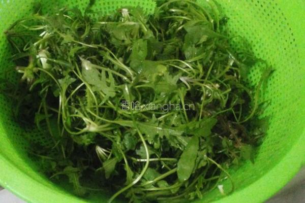 蒸荠菜的做法图解1