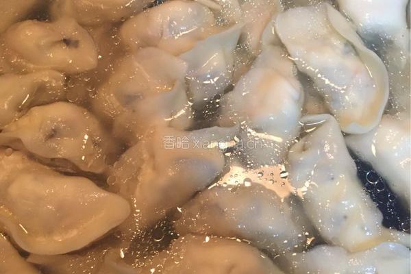 豆腐木耳水饺的做法图解4