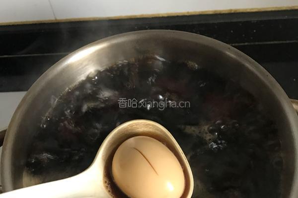 酱油蛋的做法图解4