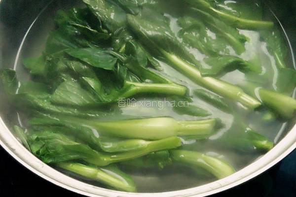 蒜泥蚝油油菜心的做法图解3