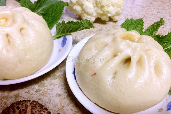 红豆馅大包子的做法图解10