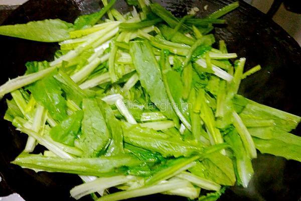 蒜香油麦菜的做法图解4