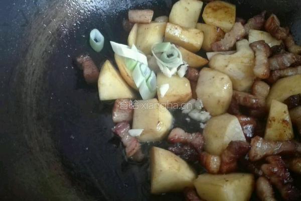 红烧马铃薯五花肉块的做法图解16