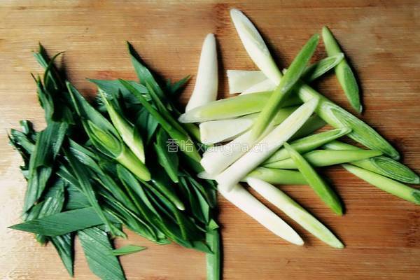 青蒜烧豆腐的做法图解4
