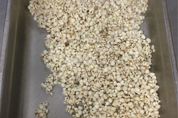 薏米汁的做法图解1