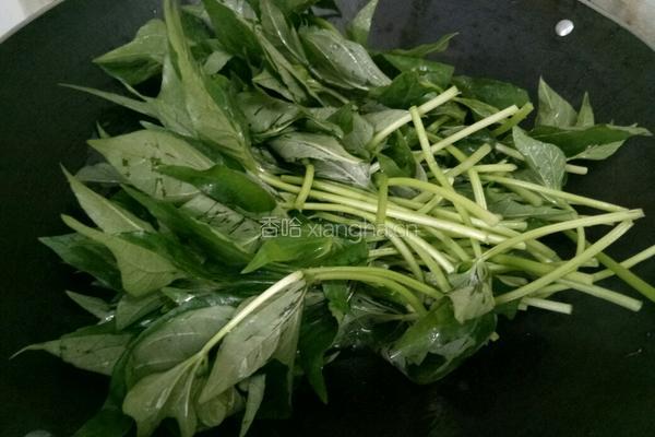 蒜炒红薯叶的做法图解5
