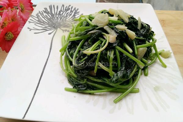 蒜炒红薯叶的做法图解8