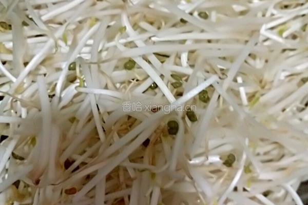 豆芽菜炒肉的做法图解3