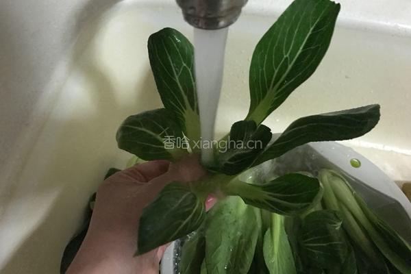 蒜香青菜的做法图解1