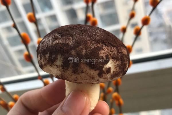 香菇豆沙包的做法图解15