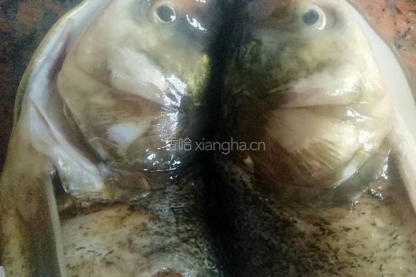 剁椒鱼头的做法图解6
