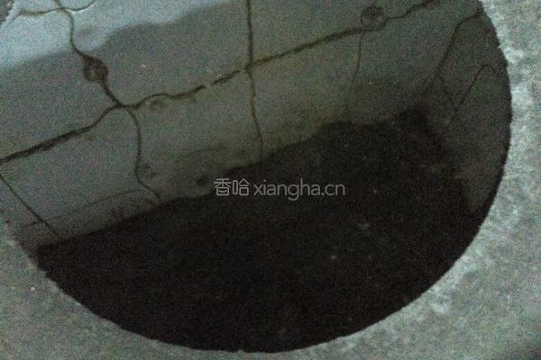 马勺煎蛋的做法图解3