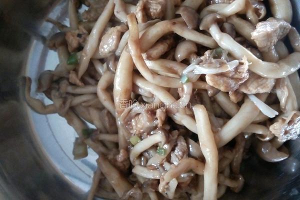 小蘑菇炒肉