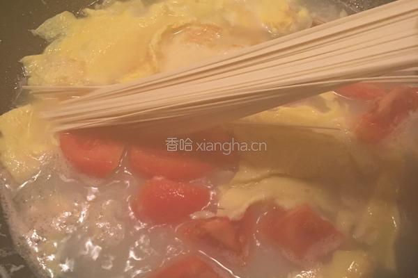 番茄鸡蛋煮面的做法图解7