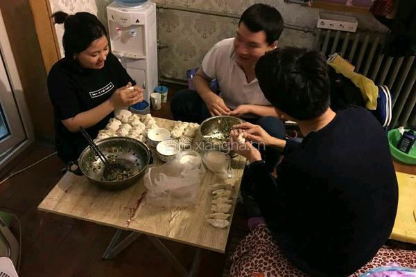韭菜猪肉饺子的做法图解5