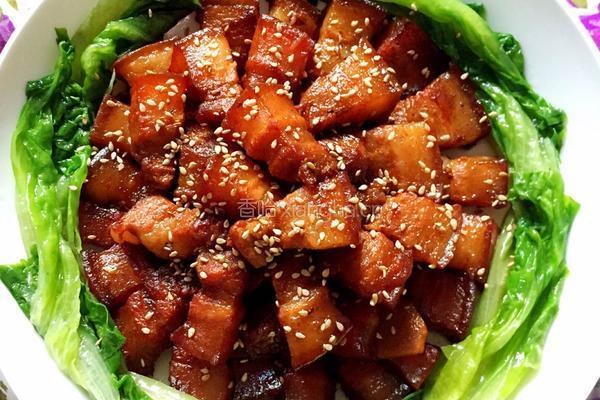 红烧肉(客家红焖猪肉)的做法图解10