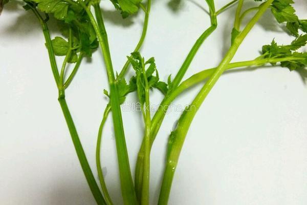 凉拌水芹菜的做法图解3