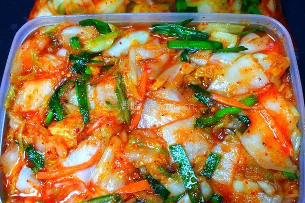 泡菜的做法图解9