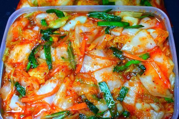 泡菜的做法图解3