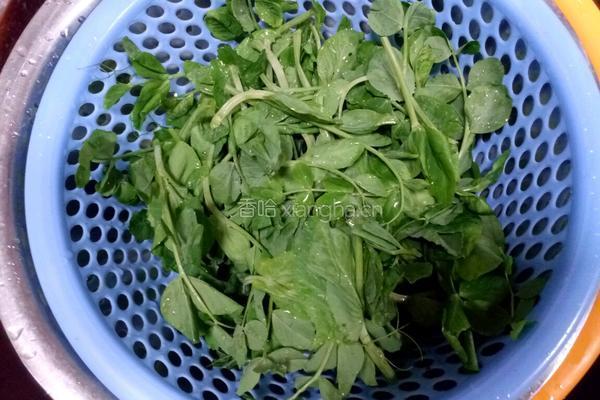 豌豆苗鸡蛋汤的做法图解1