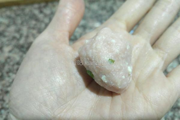 鲜肉豆腐饼的做法图解10