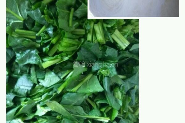蒜蓉粉丝菠菜的做法图解1