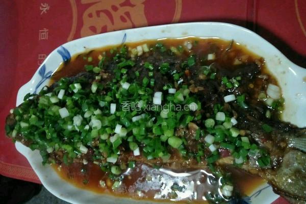 红烧鲤鱼的做法图解9