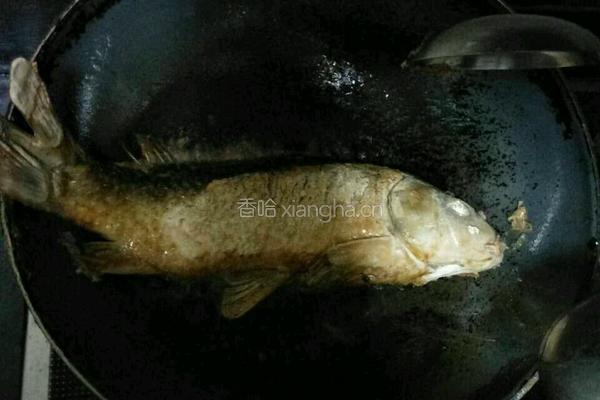 红烧鲤鱼的做法图解4