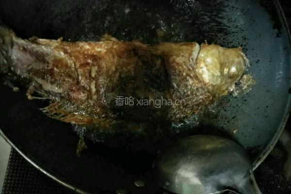 红烧鲤鱼的做法图解5