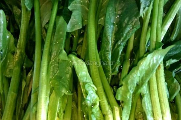 卤肉菠菜的做法图解1
