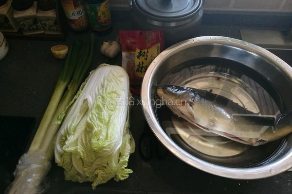 鲤鱼炖白菜的做法图解1