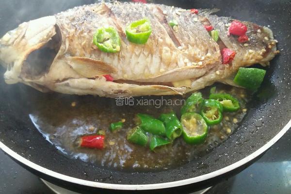 家常青椒焖鲫鱼的做法图解6