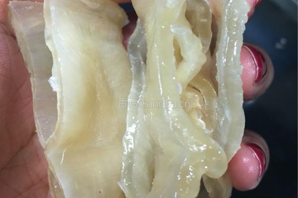 清炖尖尾黄花胶(原条鳘)的做法图解4