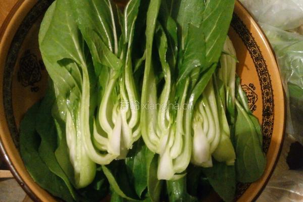 水煮杏鲍菇的做法图解1