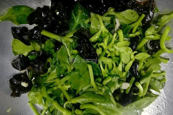 穿心莲炒肉的做法图解7