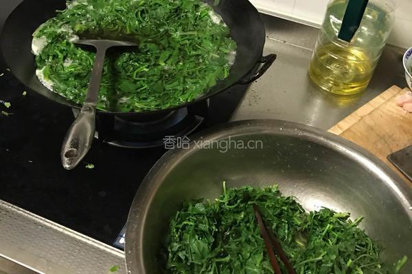 地菜春卷的做法图解2