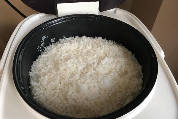 一人份鸡肉咖喱的做法图解25