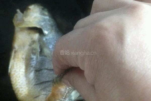 家常黄花鱼的做法图解3