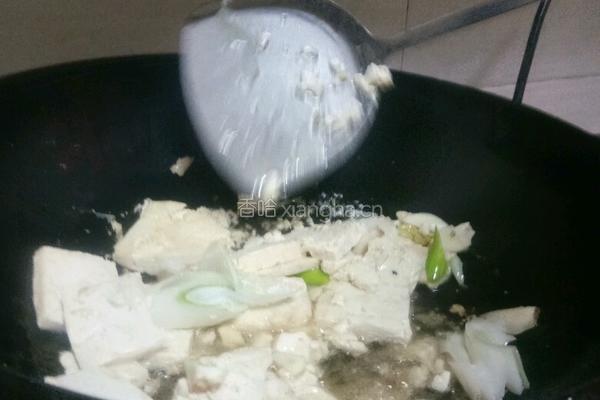 白菜烧豆腐的做法图解8