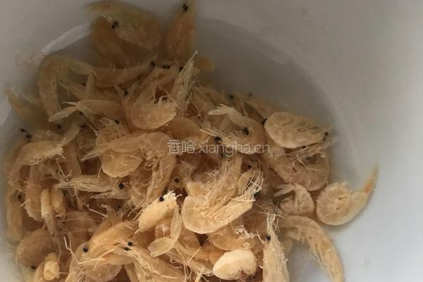 卷心菜水饺的做法图解2
