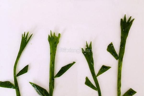 春暖花开的做法图解2