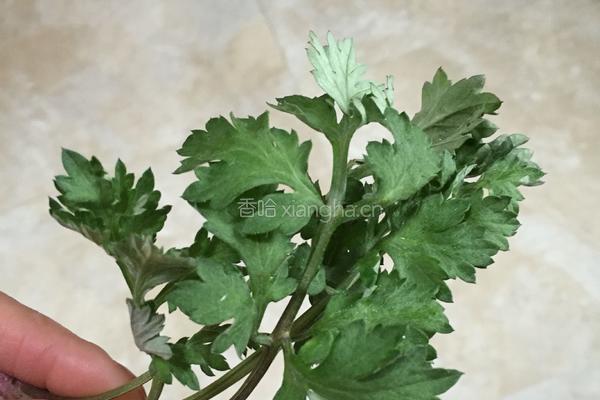 艾叶煎鸡蛋汤的做法图解1