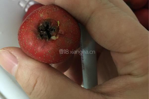 山楂罐头的做法图解3