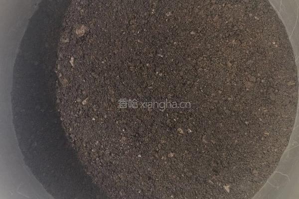 蔓越莓芝士蛋糕的做法图解5